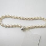 671 8209 Pärlhalsband